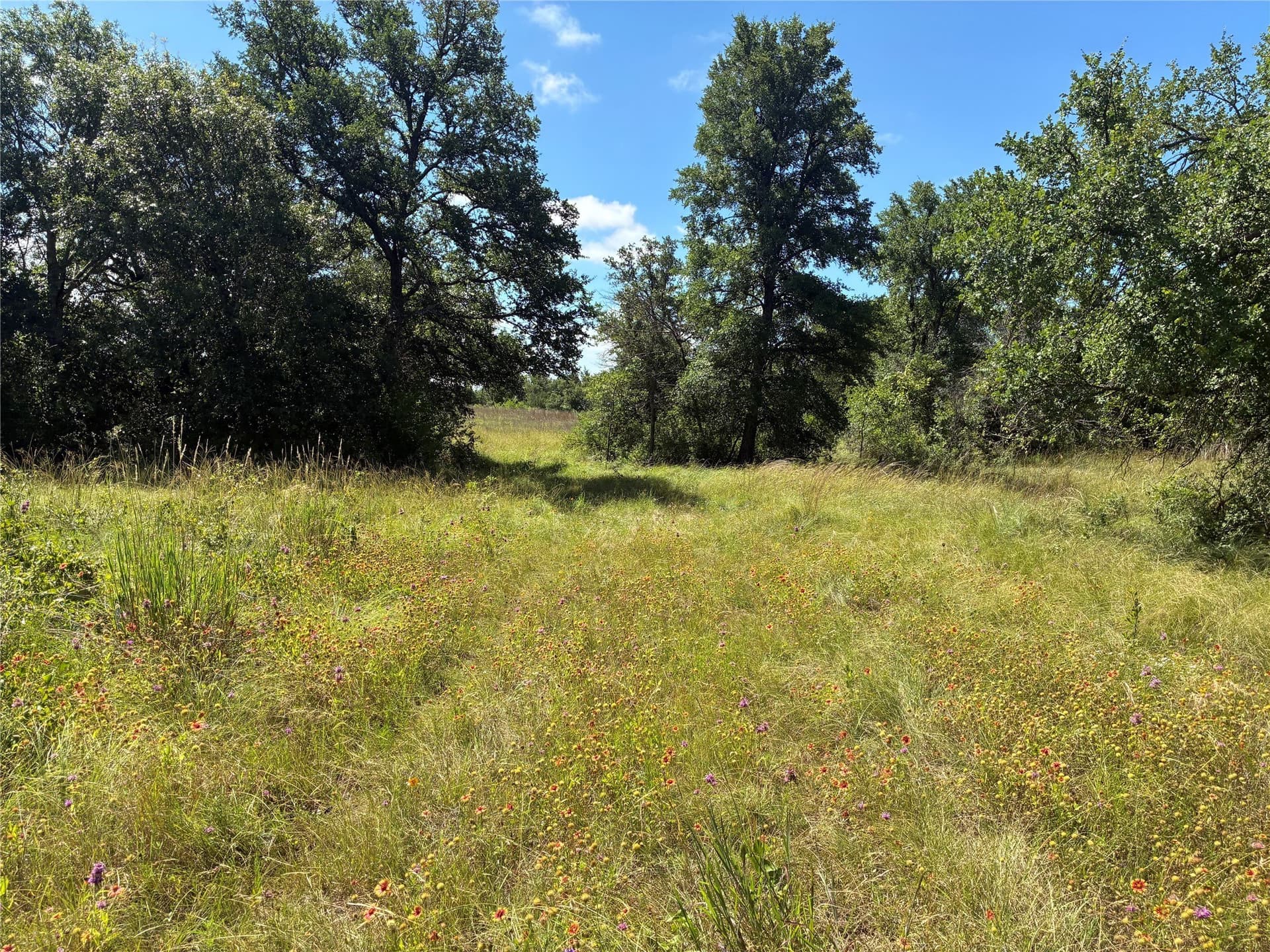 455.1 acres in Hamilton County - photo 19