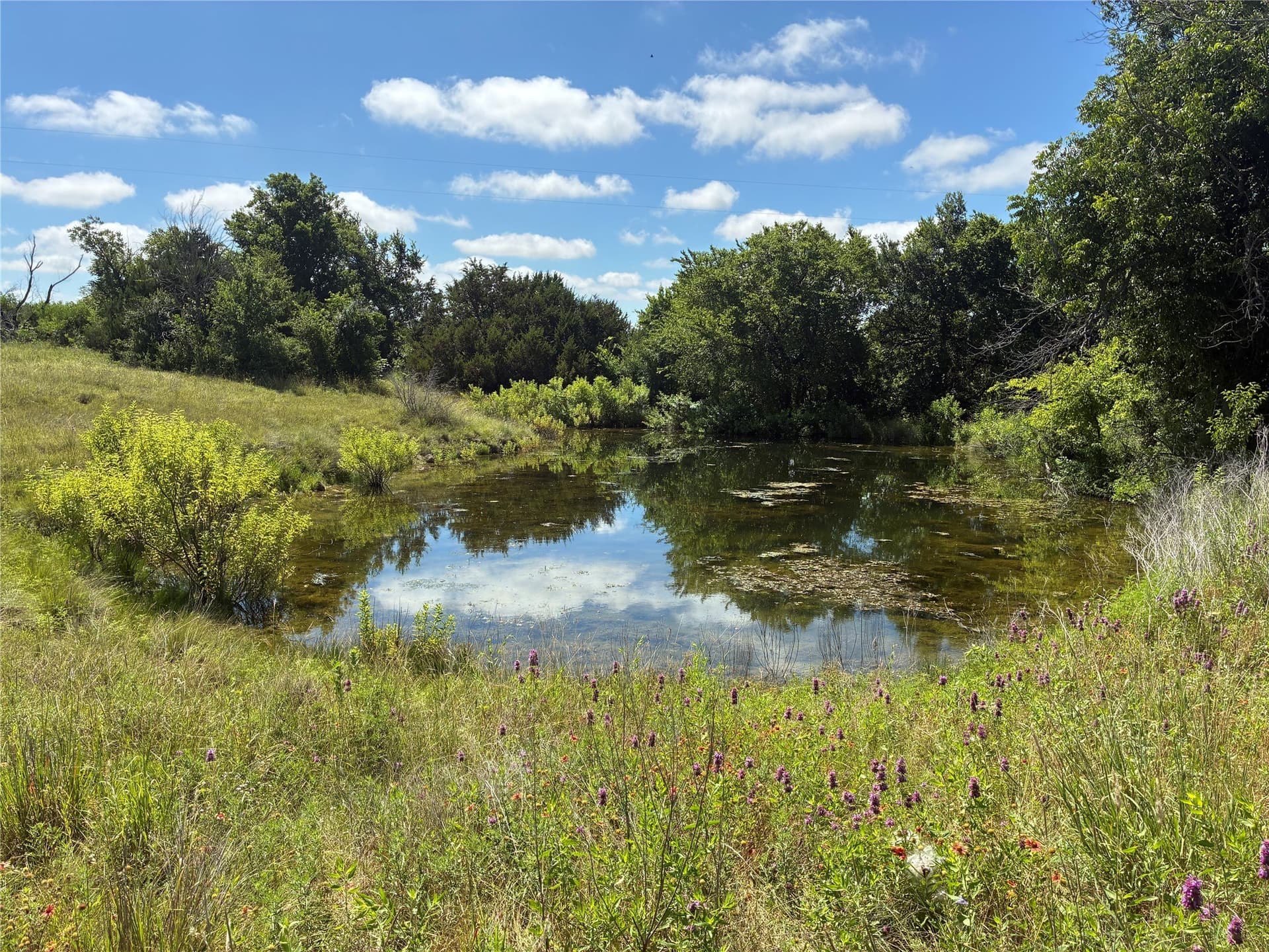 455.1 acres in Hamilton County - photo 15
