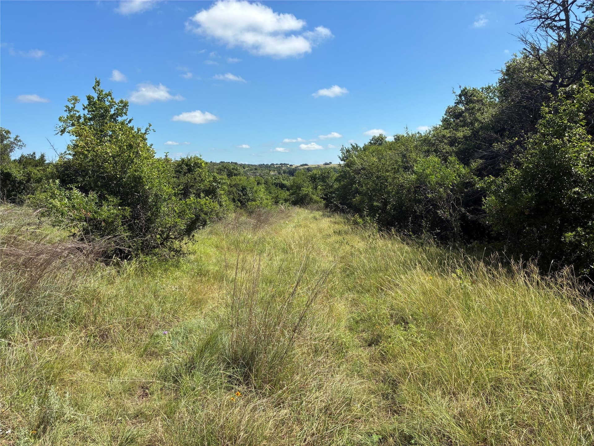 455.1 acres in Hamilton County - photo 17