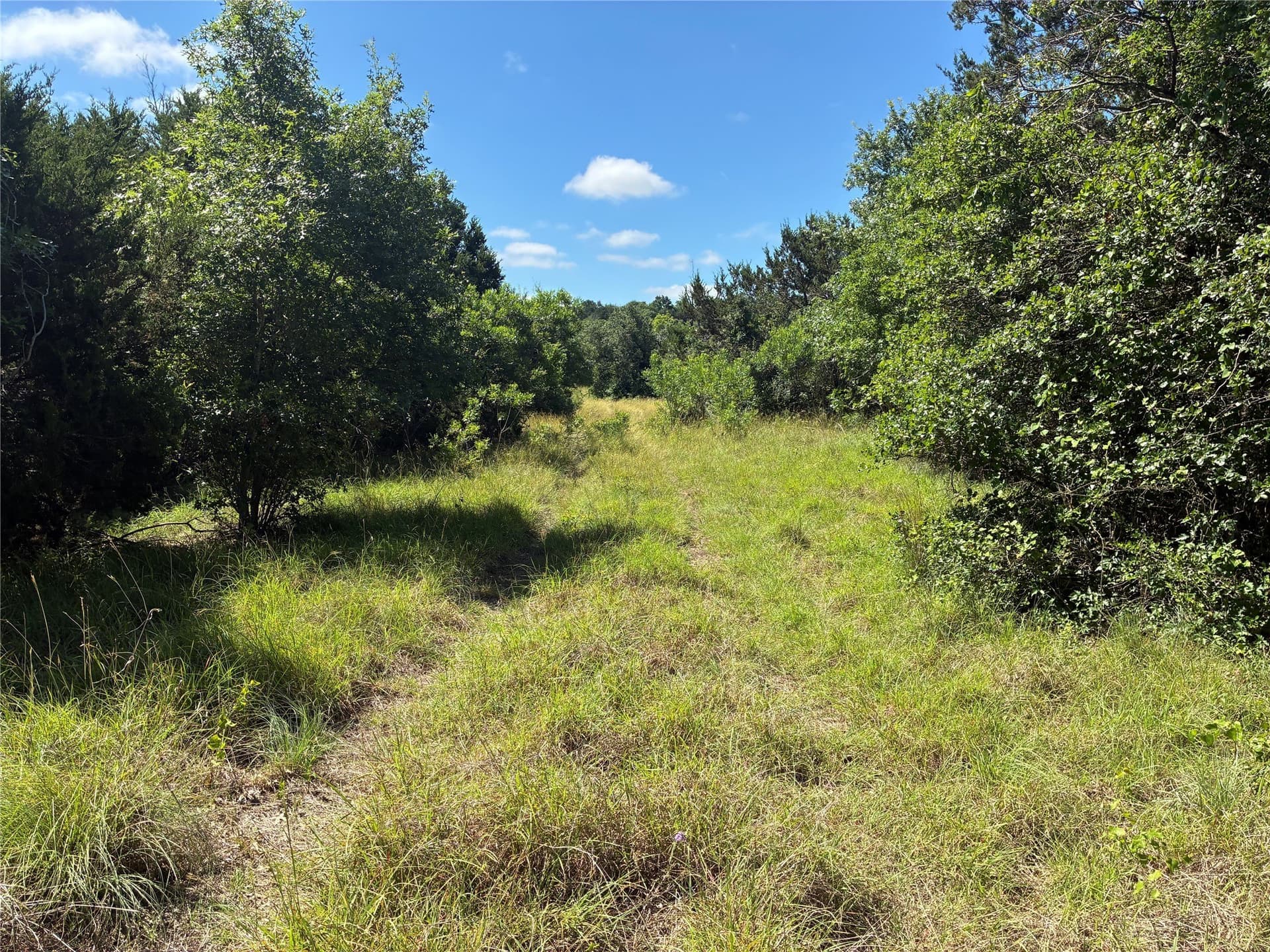 455.1 acres in Hamilton County - photo 12
