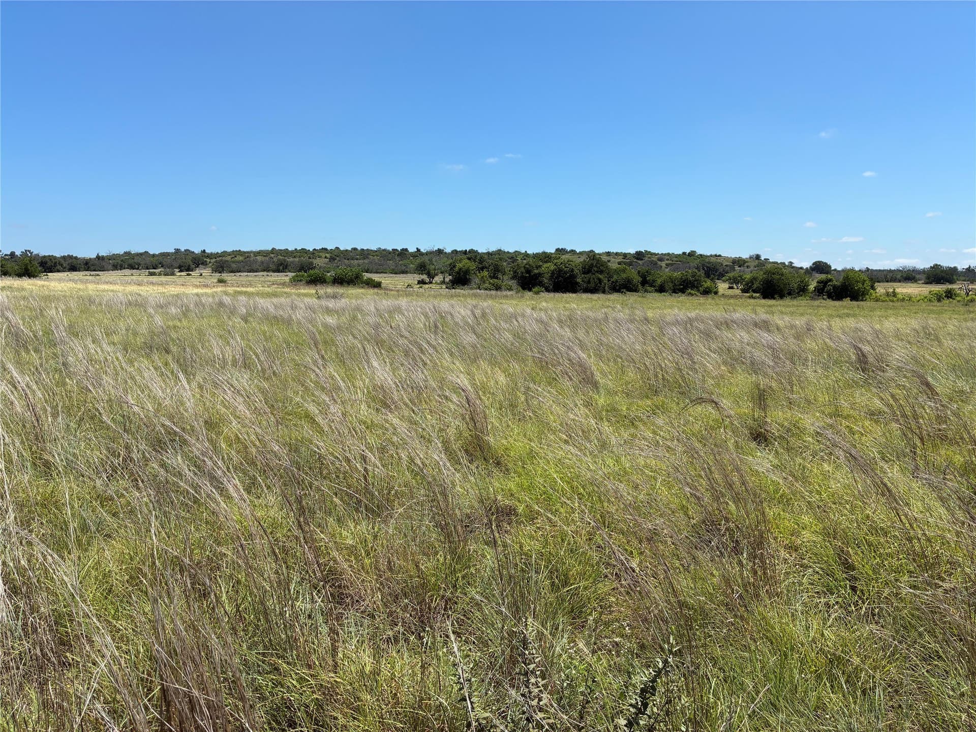 455.1 acres in Hamilton County - photo 5