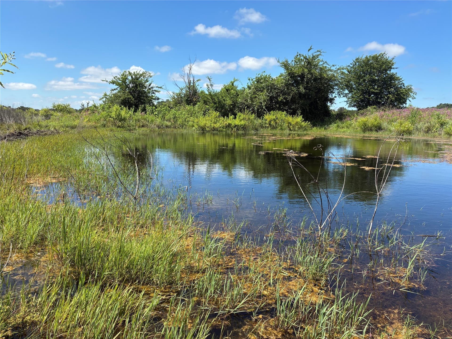 455.1 acres in Hamilton County - photo 9