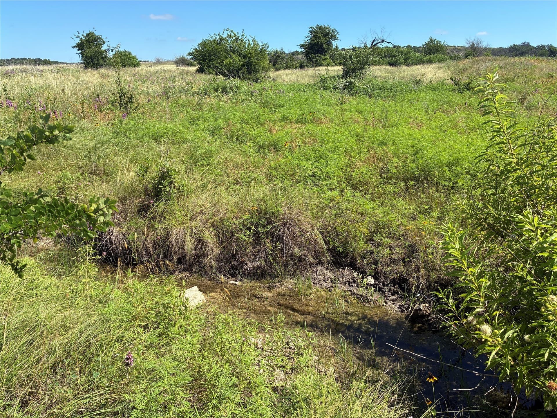 455.1 acres in Hamilton County - photo 4