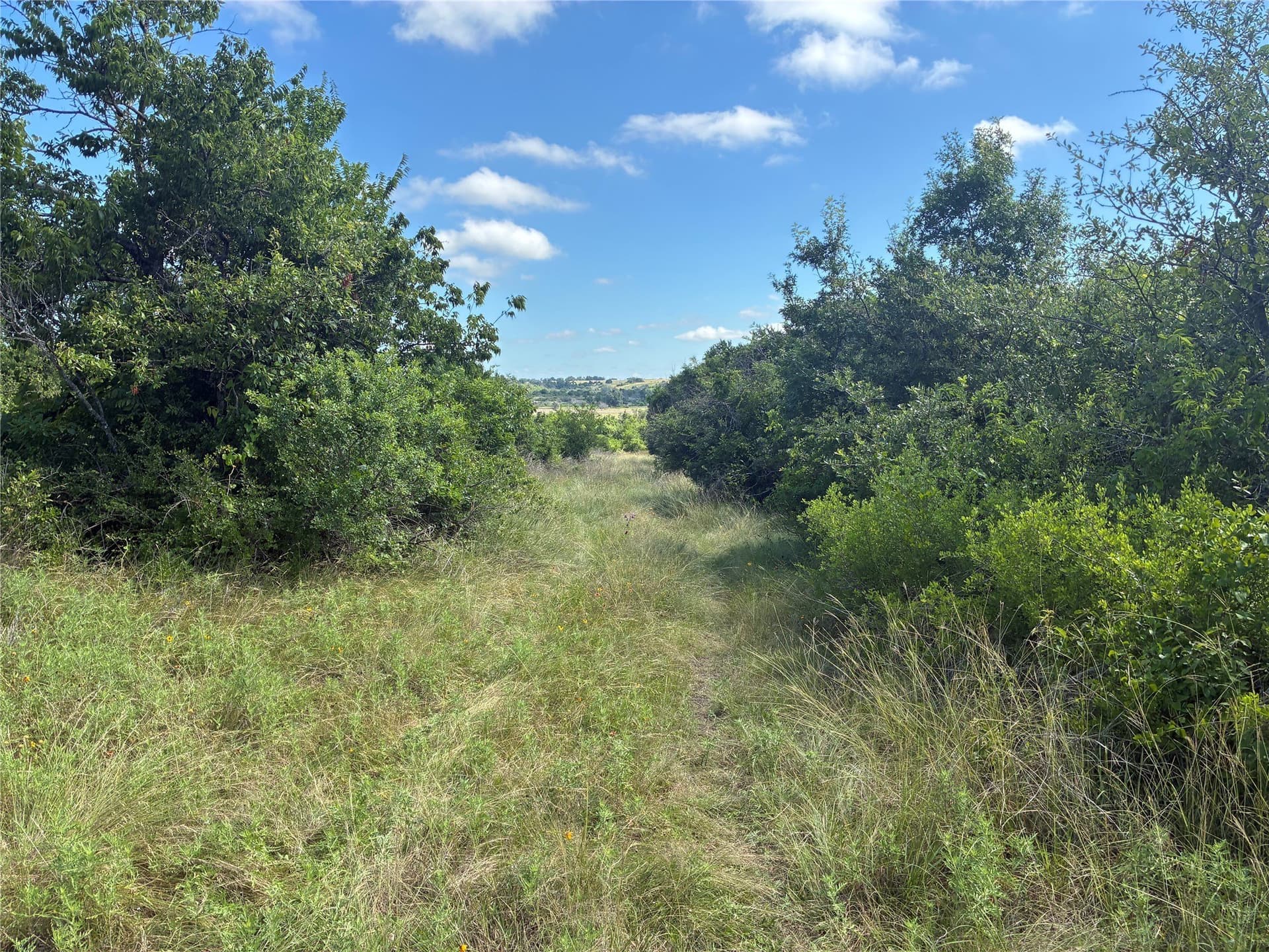 455.1 acres in Hamilton County - photo 13