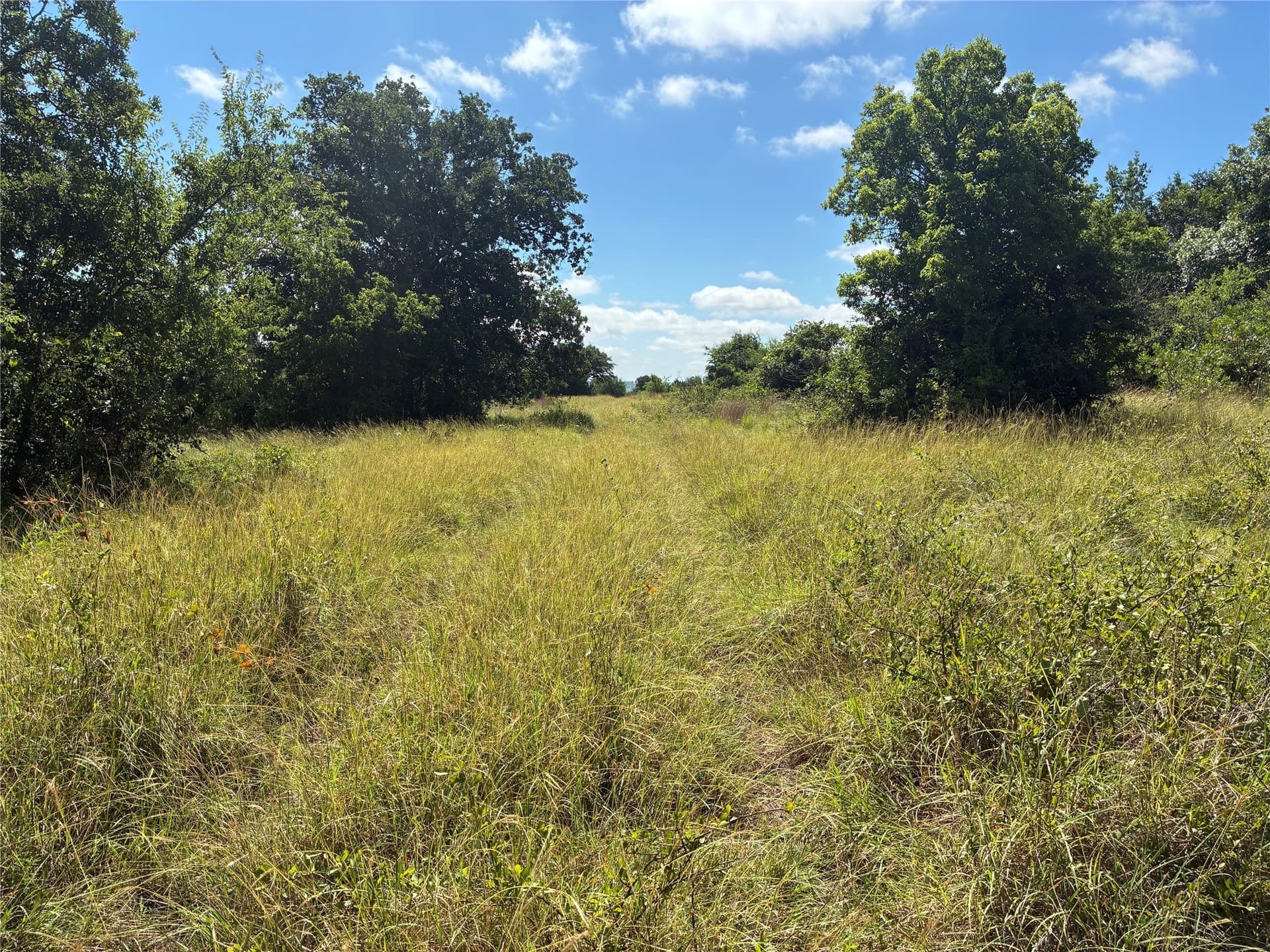 455.1 acres in Hamilton County - photo 11
