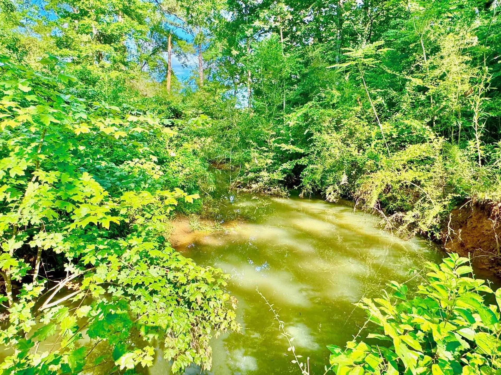 0.73 acres in Texas County - photo 4
