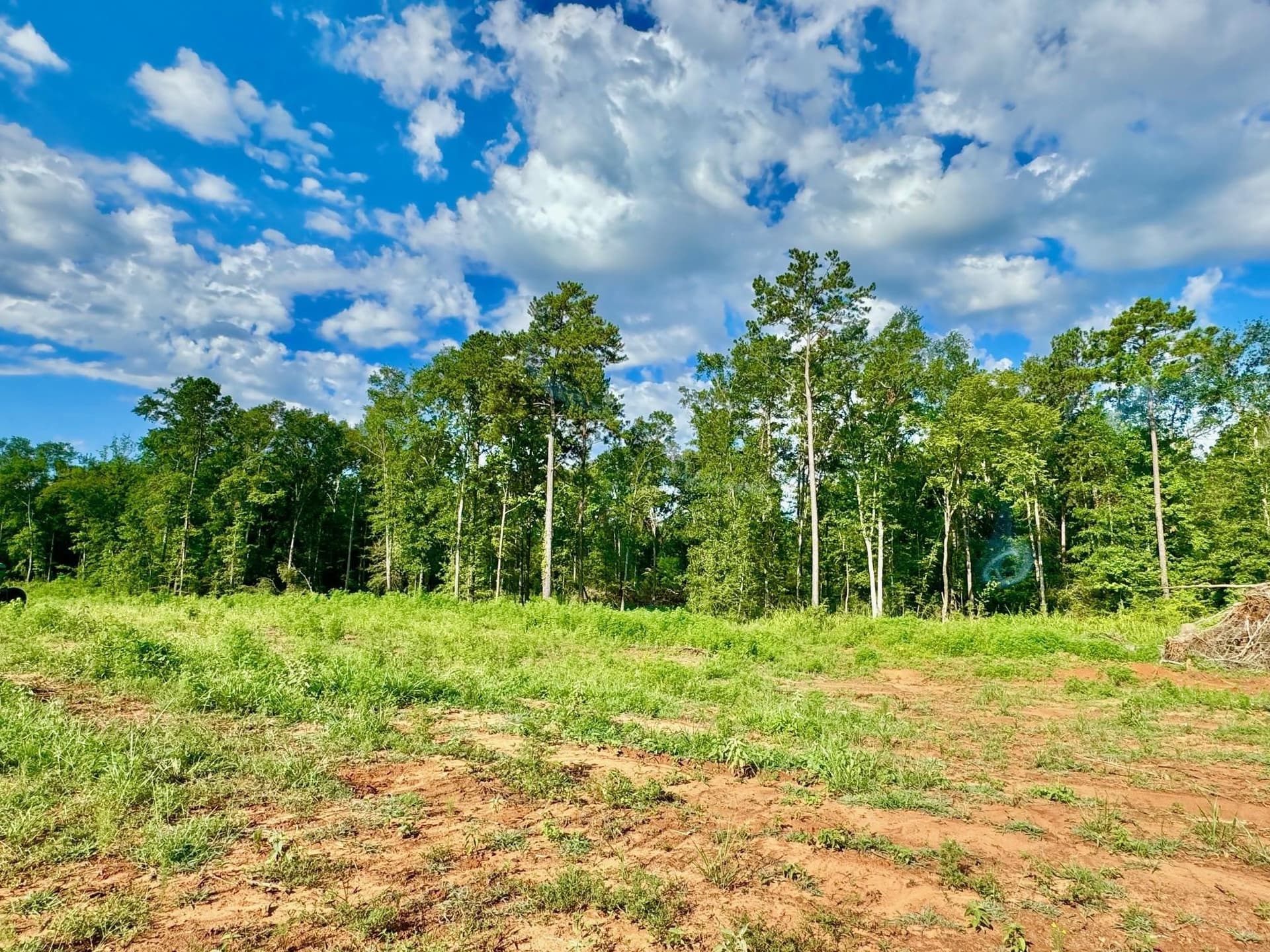 0.73 acres in Texas County - photo 2