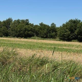 16 acres in Bell County