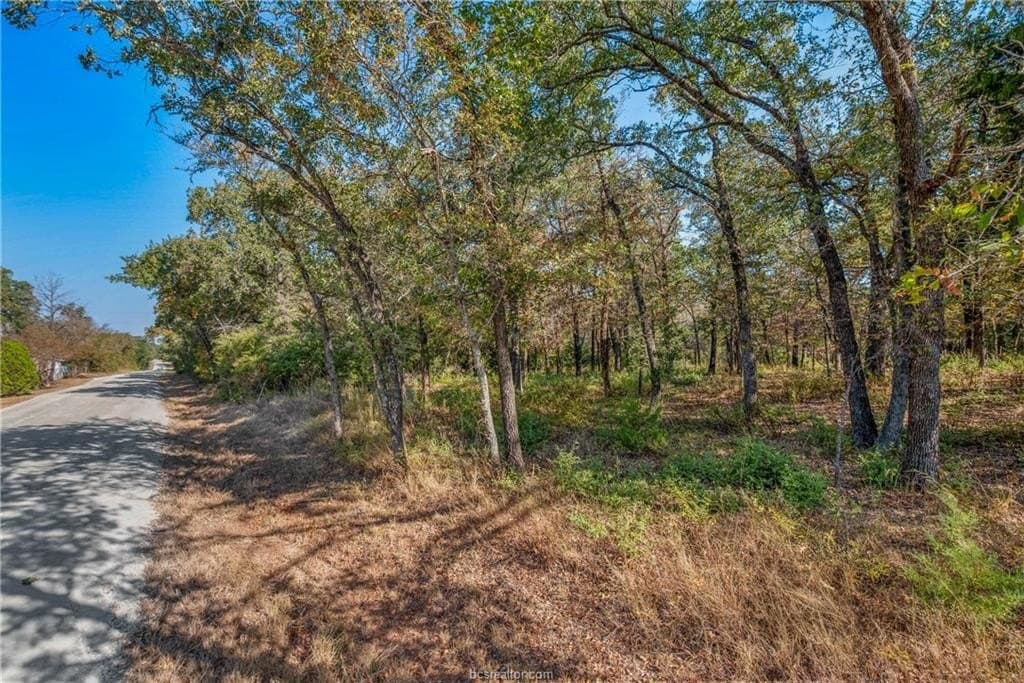 10.38 acres in Robertson County gallery image 3