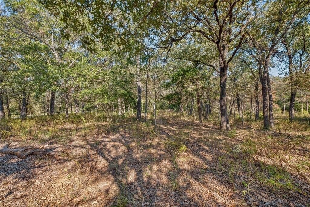 10.38 acres in Robertson County featured view
