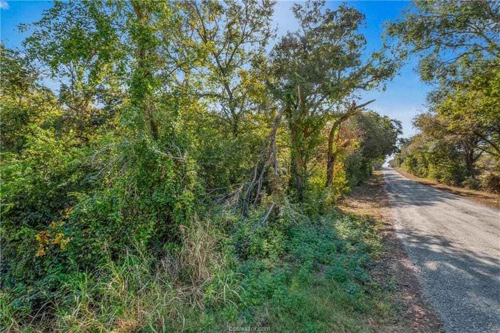 10.38 acres in Robertson County gallery image 4