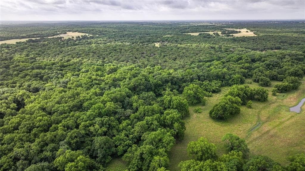 97.83 acres in Navarro County gallery image 3