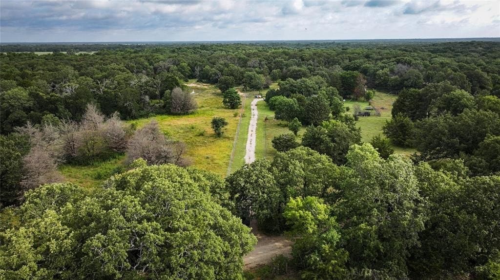 97.83 acres in Navarro County gallery image 2