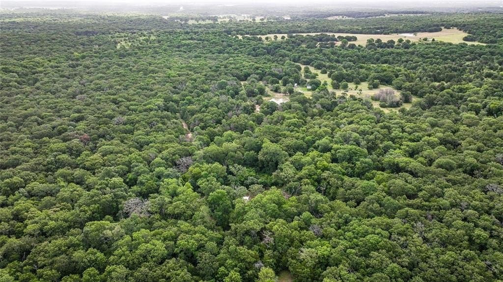 97.83 acres in Navarro County gallery image 4