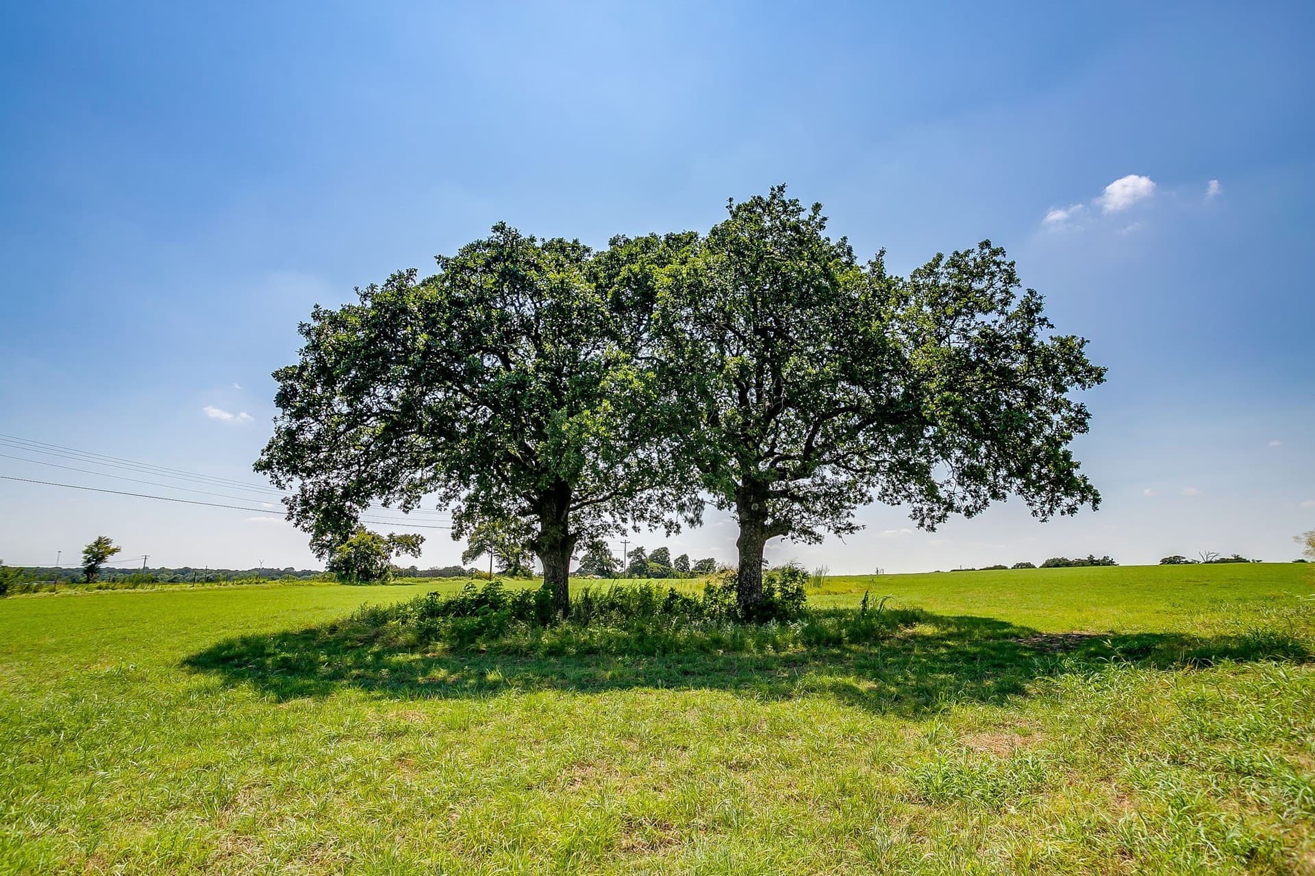 30.19 acres in Johnson County - photo 3