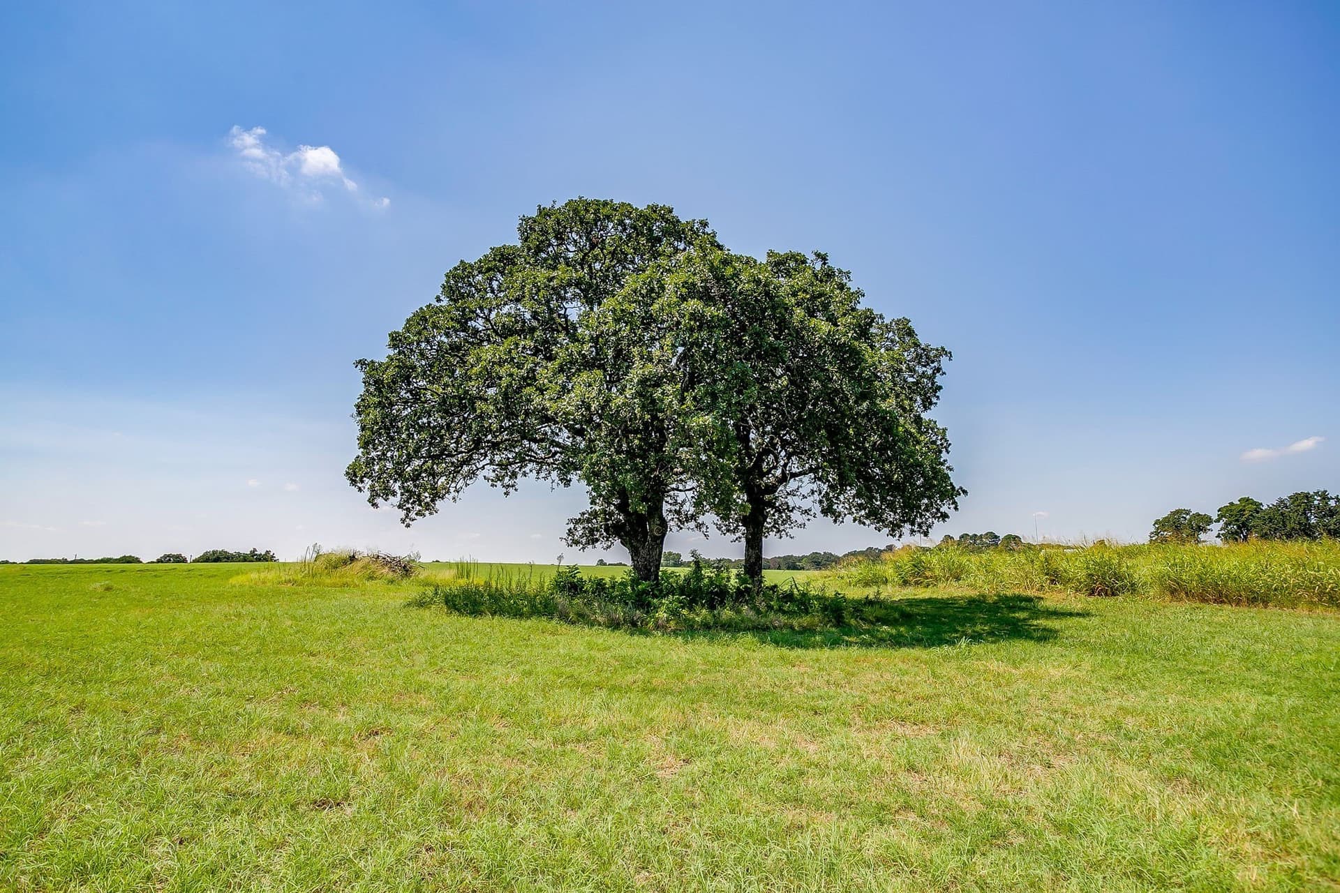 30.19 acres in Johnson County - photo 19