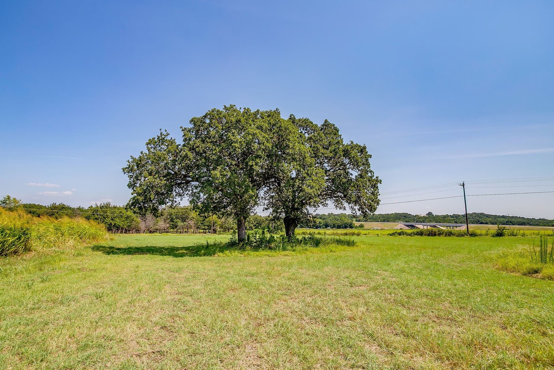 30.19 acres in Johnson County - photo 20