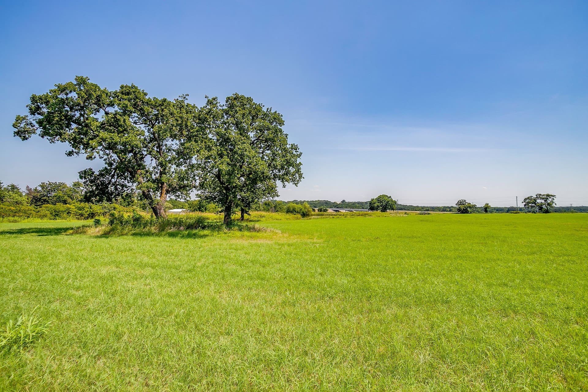 30.19 acres in Johnson County - photo 24