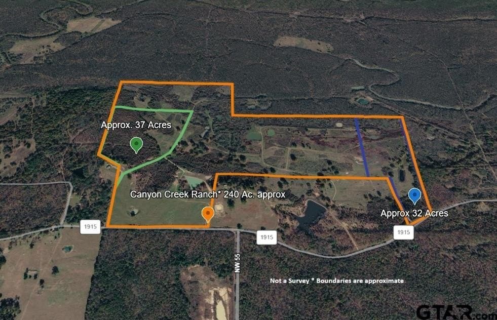 32 acres in Titus County gallery image 3