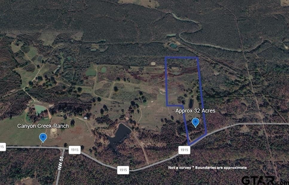 32 acres in Titus County gallery image 2