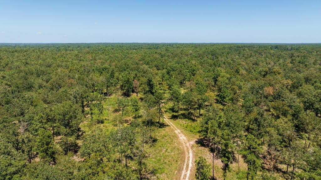 63 acres in Texas County - photo 4