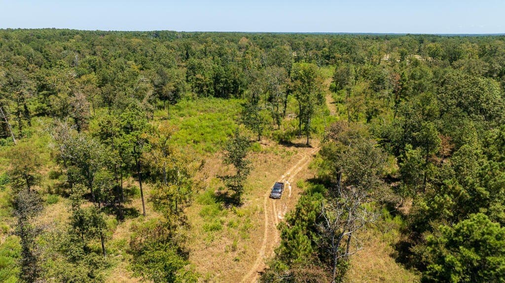 63 acres in Texas County - photo 17