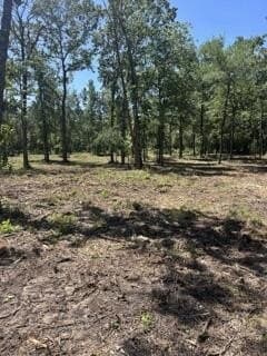 63 acres in Texas County - photo 11