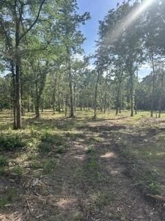 63 acres in Texas County - photo 14