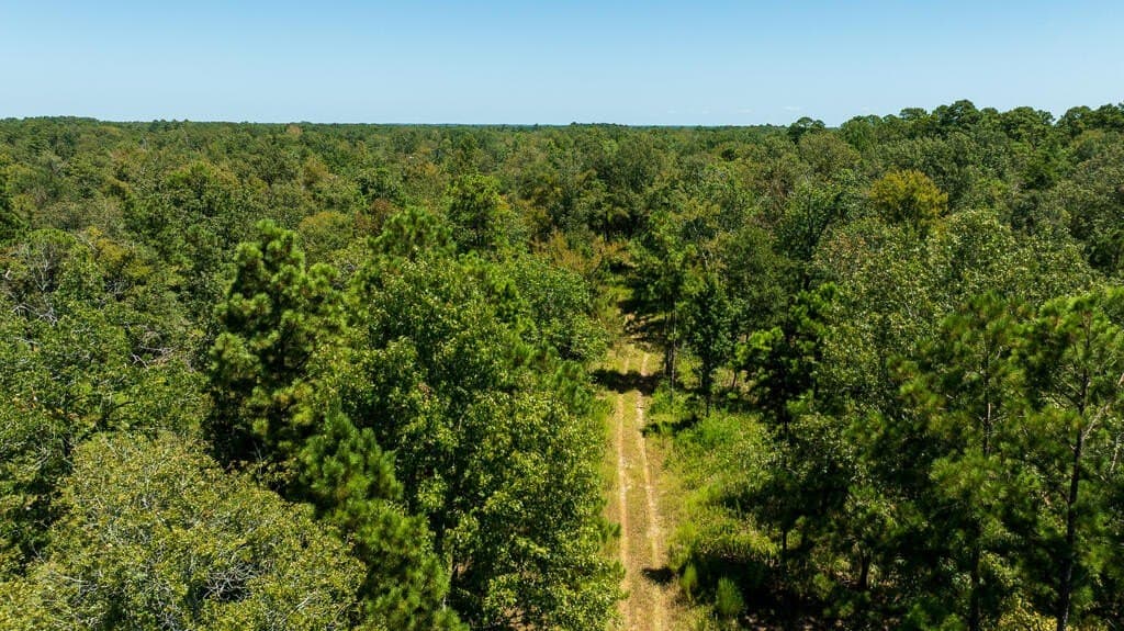 63 acres in Texas County - photo 16