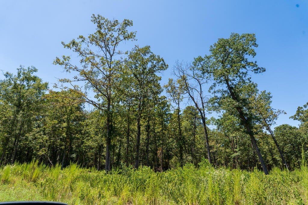 63 acres in Texas County - photo 19