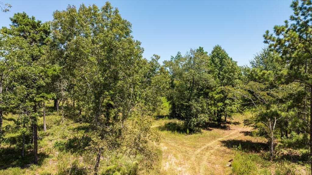 63 acres in Texas County - photo 6