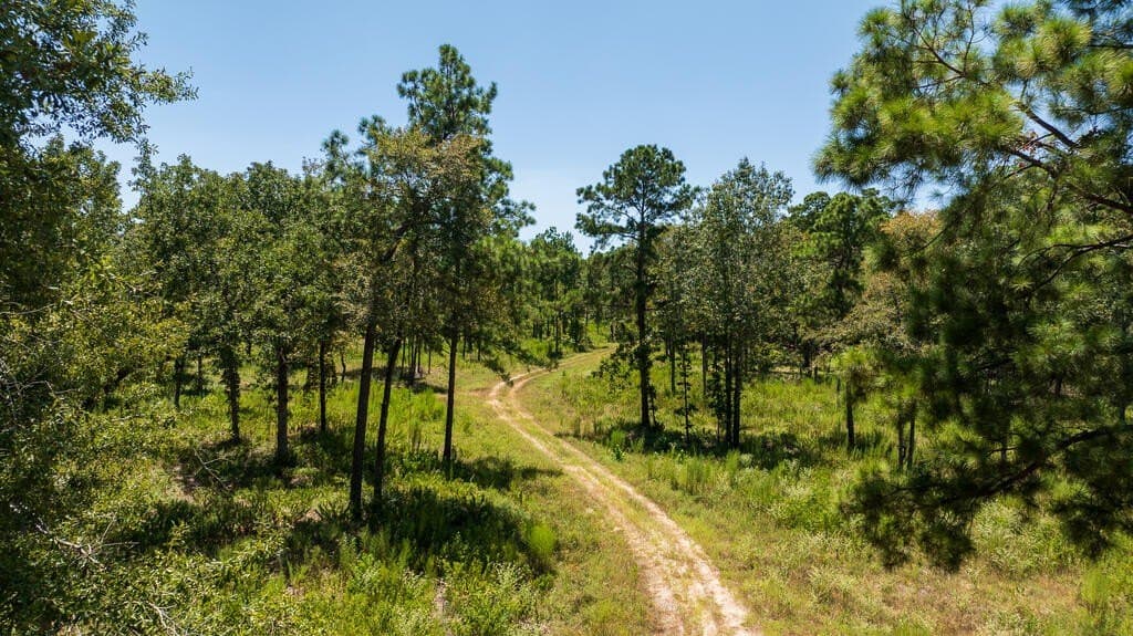 63 acres in Texas County - photo 2
