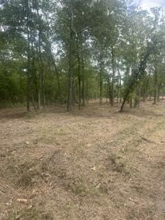 63 acres in Texas County - photo 7
