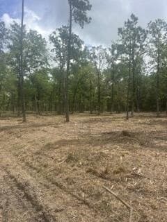 63 acres in Texas County - photo 8