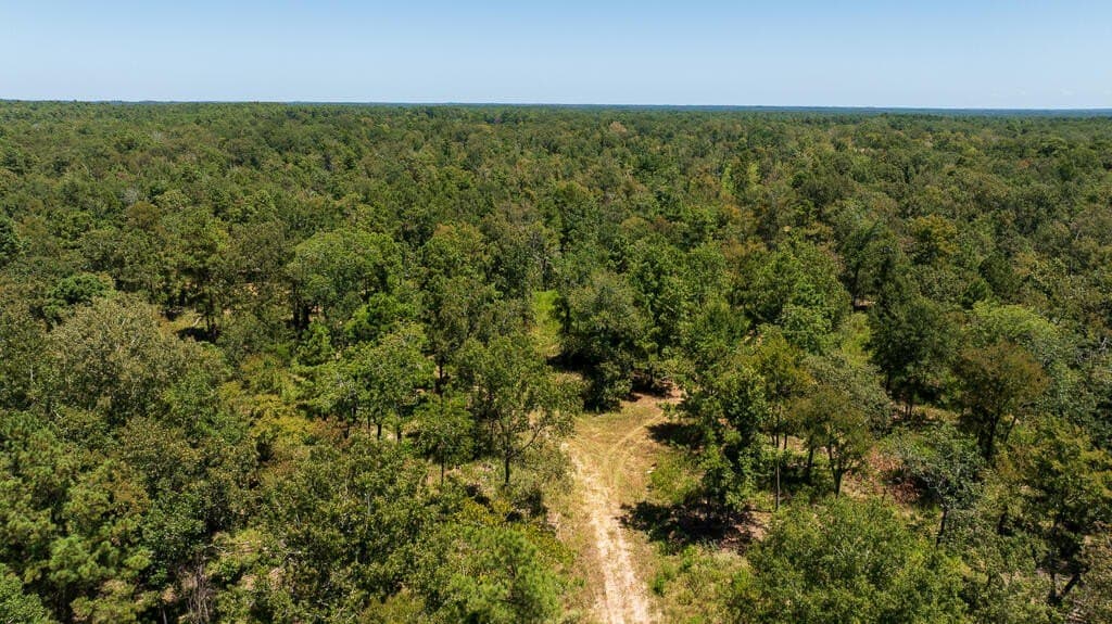 63 acres in Texas County - photo 5