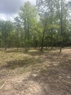 63 acres in Texas County - photo 9