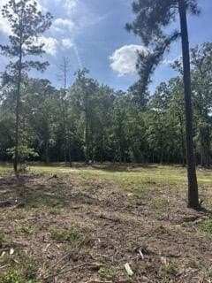 63 acres in Texas County - photo 13
