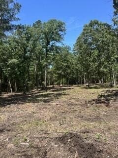 63 acres in Texas County - photo 10