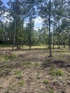63 acres in Texas County - photo 12