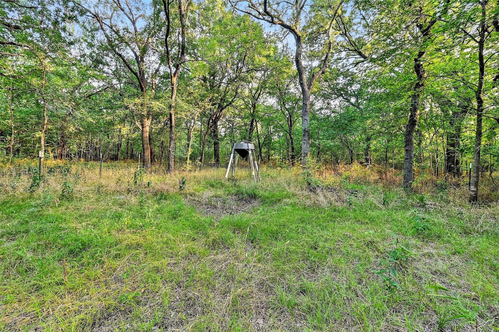 15.05 acres in Grayson County - photo 39