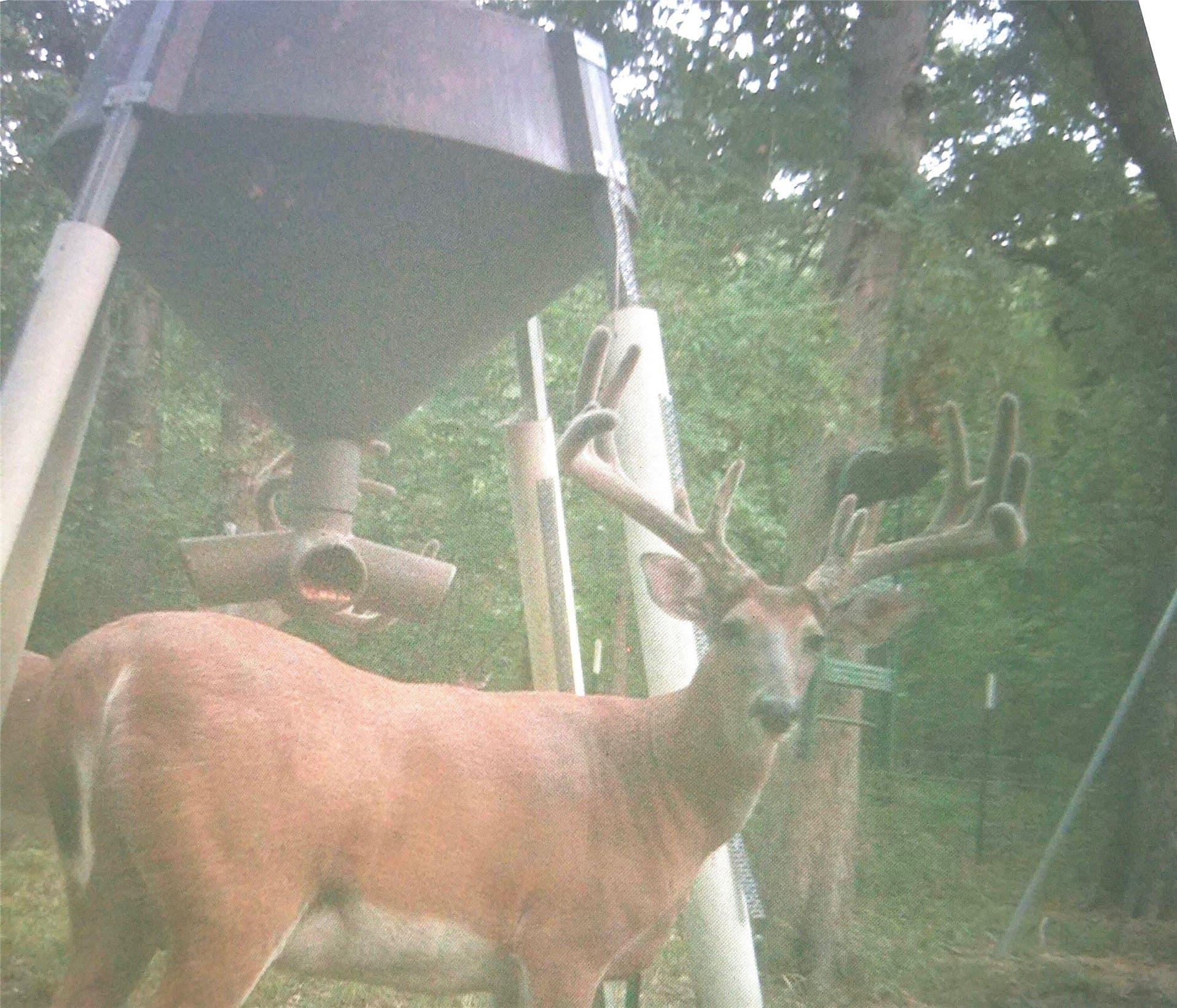 15.05 acres in Grayson County - photo 37