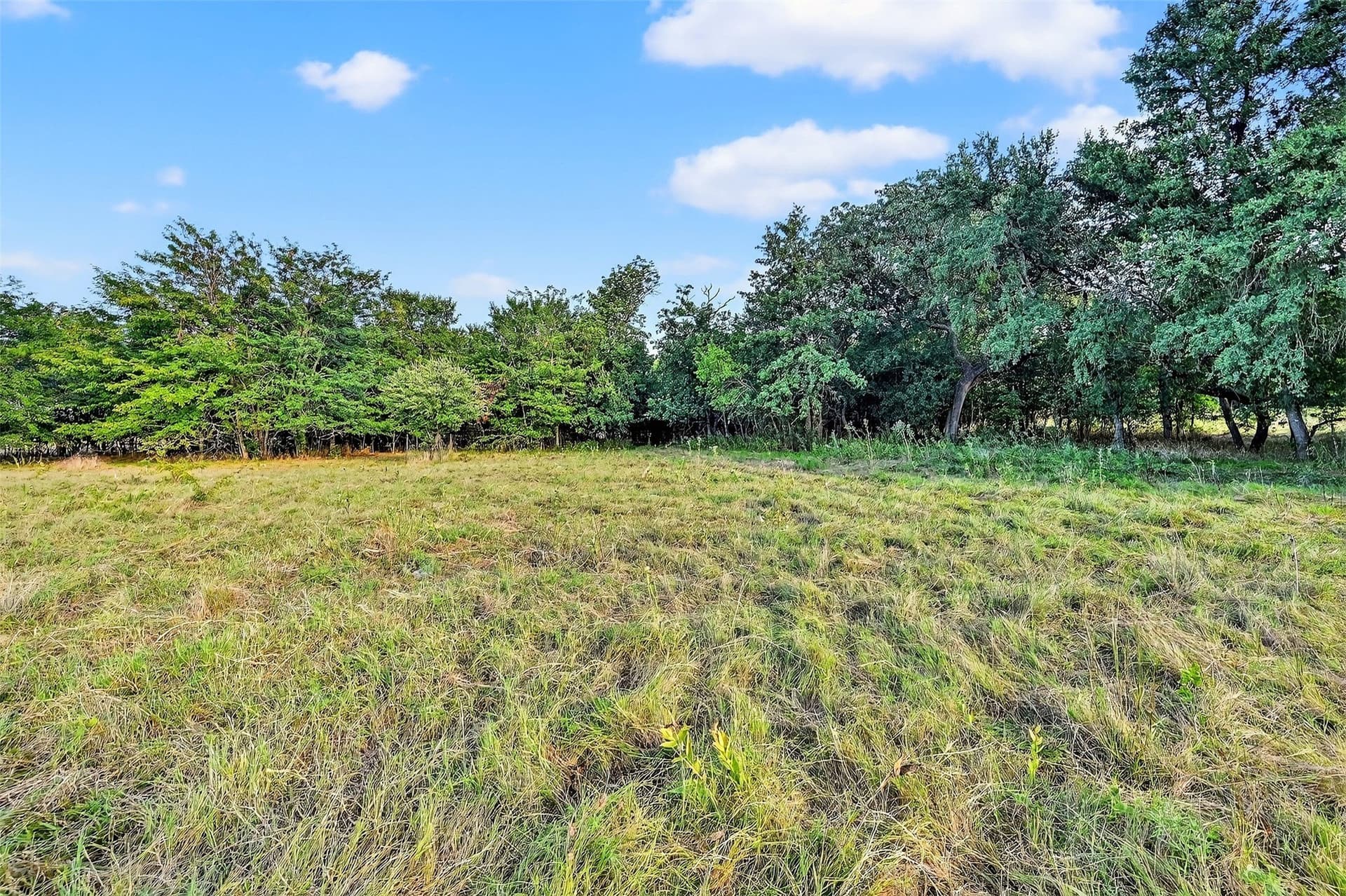 15.05 acres in Grayson County - photo 40
