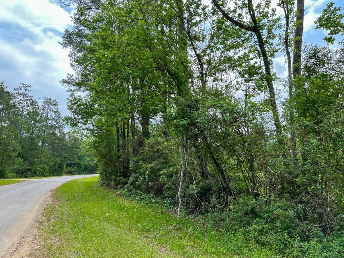 37 acres in Hardin County - photo 5