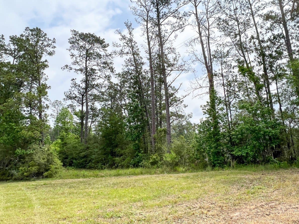 37 acres in Hardin County - photo 3
