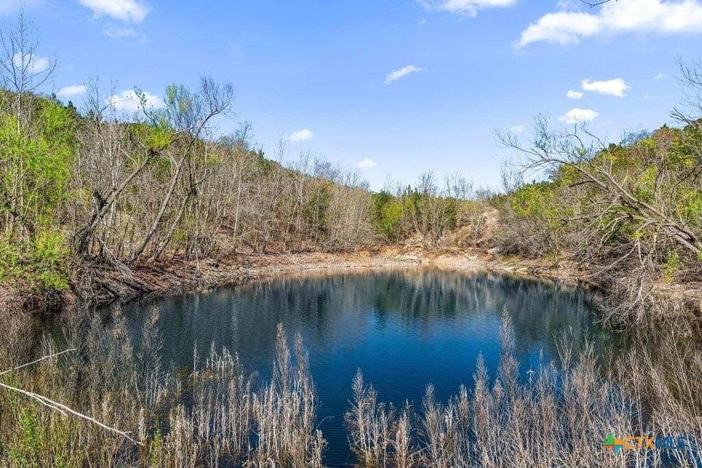 53.94 acres in Kendall County - photo 29