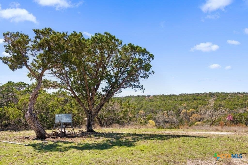 53.94 acres in Kendall County - photo 8