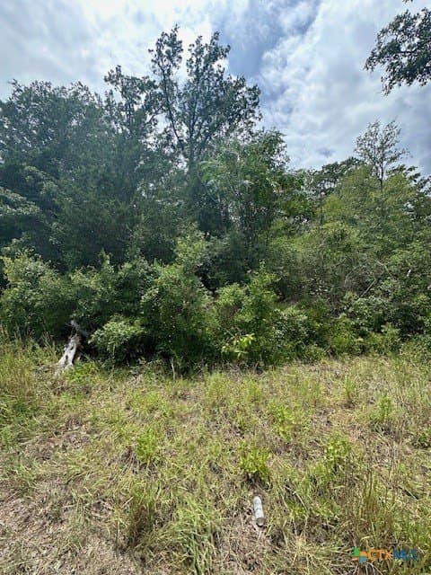 1.6 acres in Bastrop County featured view