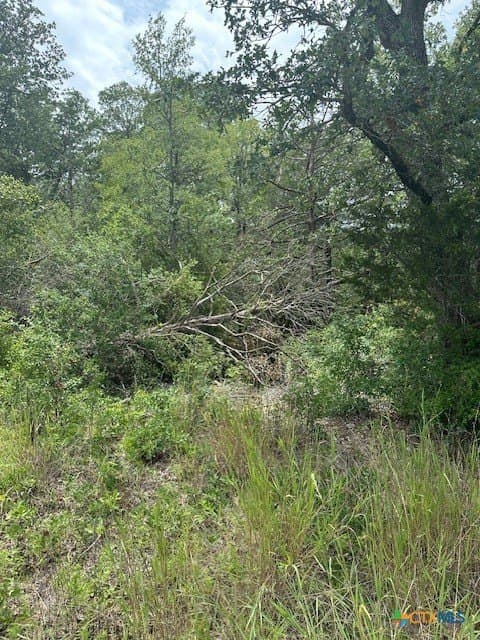 1.6 acres in Bastrop County gallery image 2