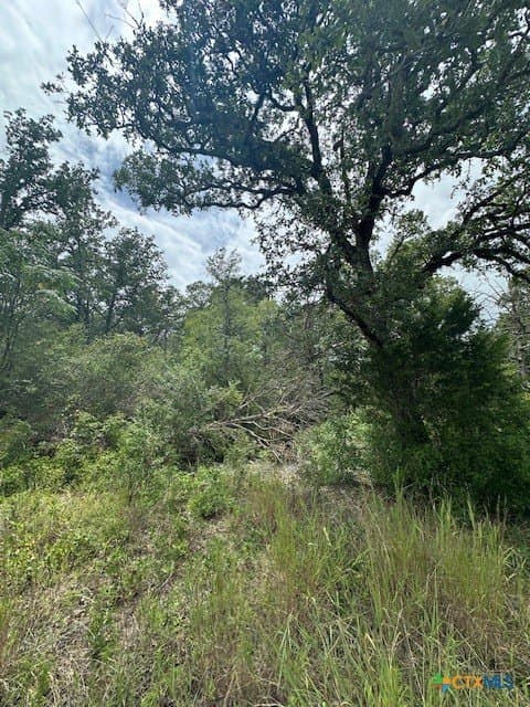 1.6 acres in Bastrop County gallery image 3