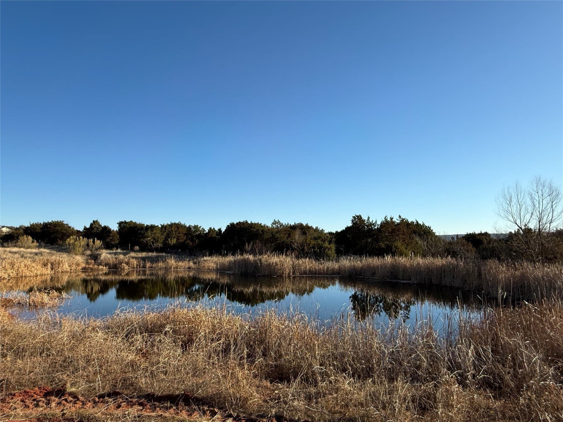 1.89 acres in Taylor County - photo 6